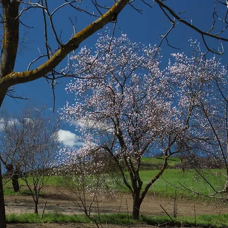 Casa vacanze La Ca' Tòrta - Rustico Ristrutturato