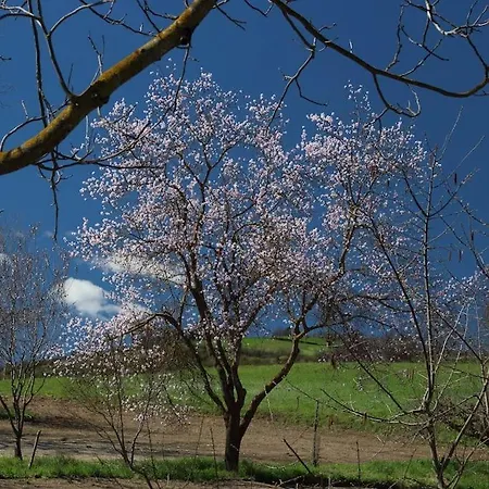 La Ca' Torta - Rustico Ristrutturato * Neviano degli Arduini