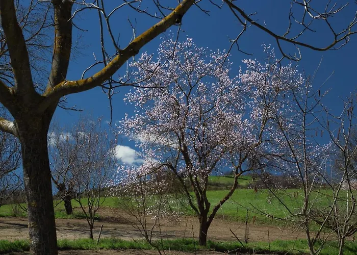 Prázdninový dům La Ca' Torta - Rustico Ristrutturato