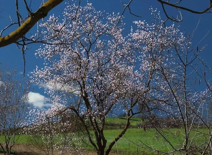 La Ca' Torta - Rustico Ristrutturato * Neviano degli Arduini